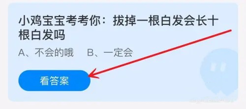 蚂蚁庄园11月14日问题答案2024